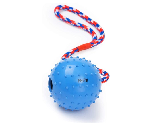 Best Beach Toys for Dogs: PetPäl Dog Ball with Rope