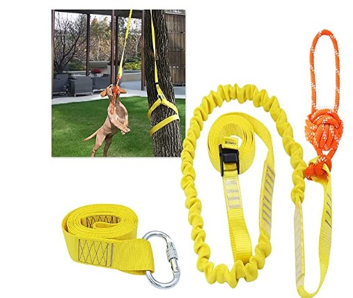 Best Outdoor Toys for Dogs: XiaZ Retractable Interactive Dog Toy