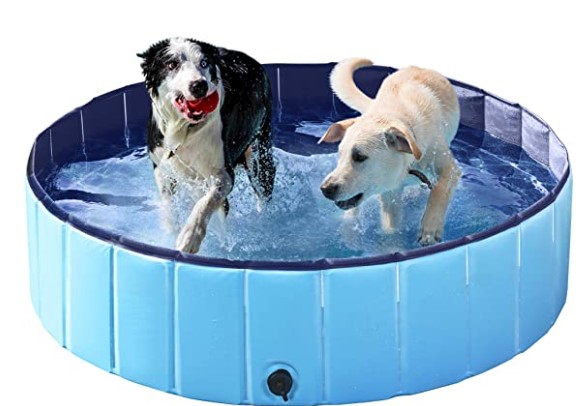Best Outdoor Toys for Dogs: Pet Bath Swimming Pool