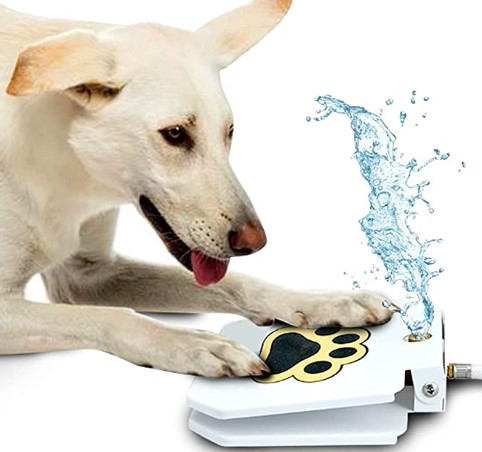 Best Outdoor Toys for Dogs: Outdoor Dog Drinking Water Fountain