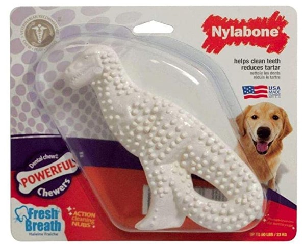 Best Toys for Dogs that Like to Shred: Pack Nylabone Durable Dinosaur Toy