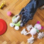 best toys for dogs that like to shred