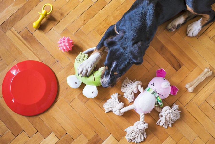 best toys for dogs that like to shred