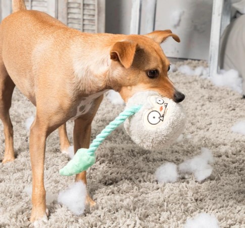 Best Toys for Dogs that Tear Things Apart: Tuppy Talon