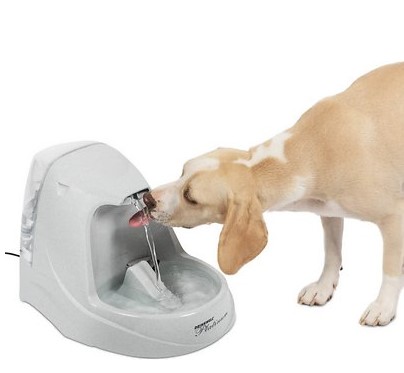 Best Water Bowls for Dogs: Drinkwell Platinum Plastic Dog & Cat Fountain